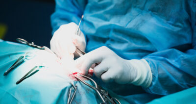 Surgeon at work in a vet clinic operating room.