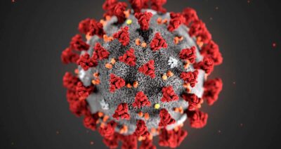 c0481846-wuhan_novel_coronavirus_illustration-spl